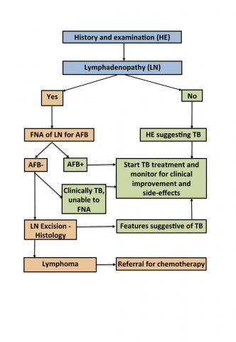 can-lymphoma-be-misdiagnosed